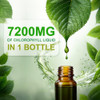 LOVITA Chlorophyll Liquid Drops, High Potency 120 mg/mL, 7,200 mg per Bottle