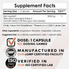 BaCognize Bacopa Monnieri Capsules - 300mg - 240 Count
