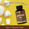 DIATMOON Lions Mane Supplement Capsules, Lion Mane Mushroom 1200mg, Brain &