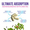 Ashwagandha Supplements - 2100mg Ashwagandha Capsule for Women