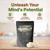 Go Nutra - Lions Mane Powder, Potent 10:1