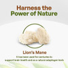 Go Nutra - Lions Mane Powder, Potent 10:1