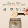 Nuzest - Pea Protein Powder