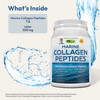 ANDREW LESSMAN Marine Collagen Peptides Powder and MSM 30 Servings