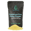 Holistic Bin Pine Pollen Powder - Wild Harvested, Golden Canadian Pine Pollen