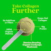 Further Food Matcha Collagen Peptides Powder