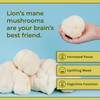 Naturealm Lions Mane Mushroom Powder Brain Supplement (60 Day Supply)