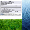 ANDREW LESSMAN Marine, Free Range Collagen Peptides Powder and MSM 60 Servings