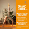 PURE - Organic Sulfur MSM - 180 Capsules - Premium MSM Powder for Joint Health