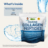 ANDREW LESSMAN Marine Collagen Peptides Powder and MSM 120 Servings