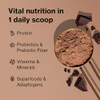 Shakeology Plant Based Protein Powder Blend