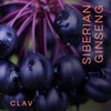 CLAV Siberian Ginseng - 900mg Eleuthero Root Powder