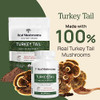 Real Mushrooms Turkey Tail Mushroom Powder