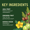 Banyan Botanicals Gokshuradi Guggulu Powder