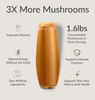 BIOptimizers Mushroom Coffee Alternative - Salted Caramel Drink