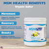 KALA HEALTH MSMPure Vanilla Flavored Coarse MSM Powder Flakes