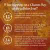 Isagenix Cleanse for Life