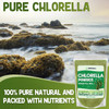 XPRS Nutra Chlorella Powder - Broken Cell Wall Chlorophyll Powder for Immunity