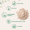 Micro Ingredients Organic Papaya Fruit Powder, 8 Ounce, Freeze Dried, Naturally