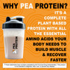 It's Just! - 100% Pea Protein, Vegan Plant