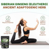 Go Nutra Siberian Ginseng - Eleuthero Root Powder