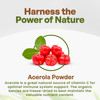 Go Nutra Acerola Powder Organic Freeze Dried 18% Vitamin C Powder Brazil Origin