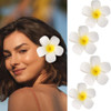 Haomye Plumeria Hair Clips White Hawaiian Flower Hair Clip Frangipani Hairpins Boho Floral Hair Barrettes Beach Women Hair Accessories 4PCS