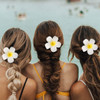 Haomye Plumeria Hair Clips White Hawaiian Flower Hair Clip Frangipani Hairpins Boho Floral Hair Barrettes Beach Women Hair Accessories 4PCS