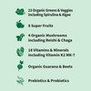 Garden of Life Sport Nutrition Greens and Superfoods Powder