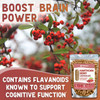 Hawthorn Berry Powder Capsules - 360 Count (6 Month Supply)