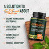 Ashwagandha Supplement 1300mg for Stress Resistance & Energy Boost