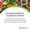 NaturesPlus KalmAssure Magnesium Powder - 0.8 lb, Pack of 2