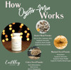 Earthley Wellness, Oyster-Min Capsules, Natural Zinc & Mineral Supplement