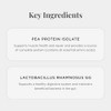 JSHealth Vegan Pea Protein Powder with Probiotics