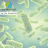 Prescribed For Life Bacillus Coagulans Powder, Lactobacillus Supplement for Gut