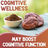 XPRS Nutra Organic Red Reishi Mushroom Powder