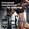 LIPORUSH NDS Nutrition XTP Thermogenic Fat Burner with L-Carnitine