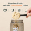 Nuzest - Pea Protein Powder