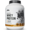 Levels Grass Fed Whey Protein Powder, No Artificials, 24G of Protein, Vanilla