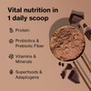 Shakeology Whey Protein Powder Blend