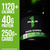 Rule1 Mass Gainer