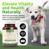 Lignans For Life Flaxseed and SDG - Omega 3 Fatty Acids, Fiber Antioxidants