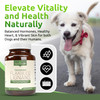 Lignans For Life Flaxseed Lignans for Dogs & People + SDG