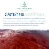 Holistic Bin Red Marine Algae Capsules Gigartina and Dumontiacea Red Algae