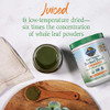 Garden of Life Raw Organic Perfect Food Energizer Juiced Green Superfood Powder