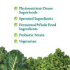 Garden of Life Perfect Food Super Green Formula
