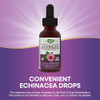Nature's Way Premium Formula Echinacea-Goldenseal, 250 mg per serving, 99.9%