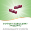 Nature's Way Beet Root Capsules, Supports Antioxidant Pathways*, Helps
