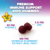 Kids Immune Support Elderberry Gummies