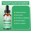 JINGYAT Mullein Drops for Lungs